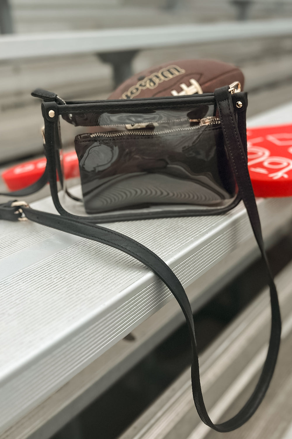 Clear Bag- Set of 2