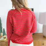 Striped Raglan Sleeve Crew Neck Pullover