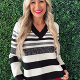Long Sleeve V-Neck Sweater