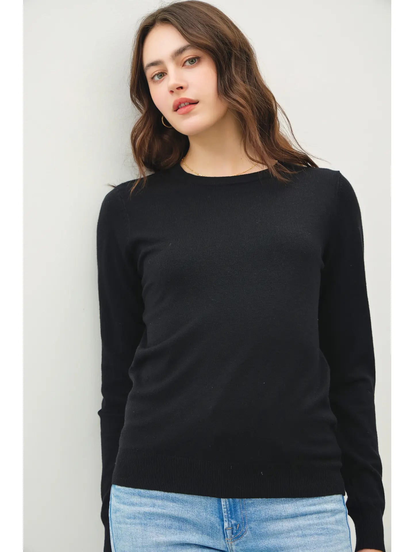 Basic Crew Neck Soft Knit Sweater