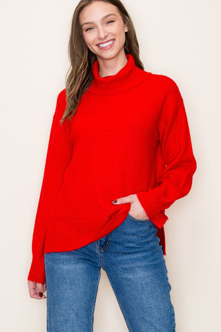 Textured Balloon Sleeve Turtleneck Sweater