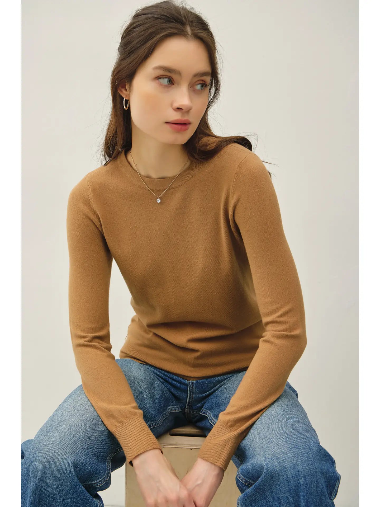 Basic Crew Neck Soft Knit Sweater