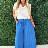 Pleated Wide Leg Pants