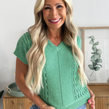 Tilda Pullover V-Neck Knit Short Sleeve Sweater