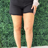 Jane High Rise Long Short Fray Hem