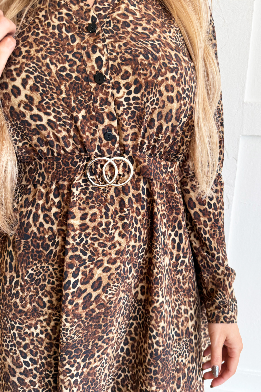 Ombre Animal Belt Dress