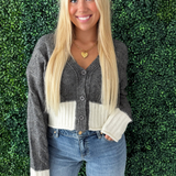 Two Tone V Neck Button Front Sweater