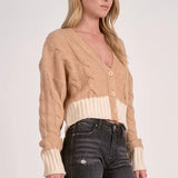 Two Tone V Neck Button Front Sweater