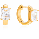 Ashley Diamond Hoops