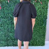 Short Sleeve Button Down Mini Dress w/ Pockets