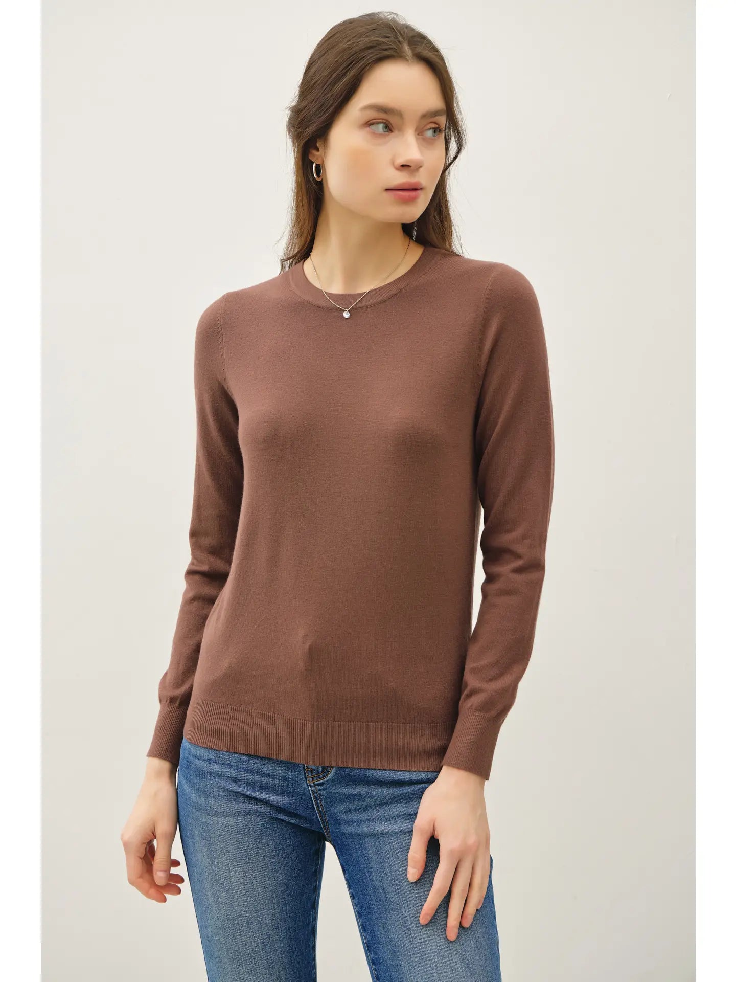 Basic Crew Neck Soft Knit Sweater