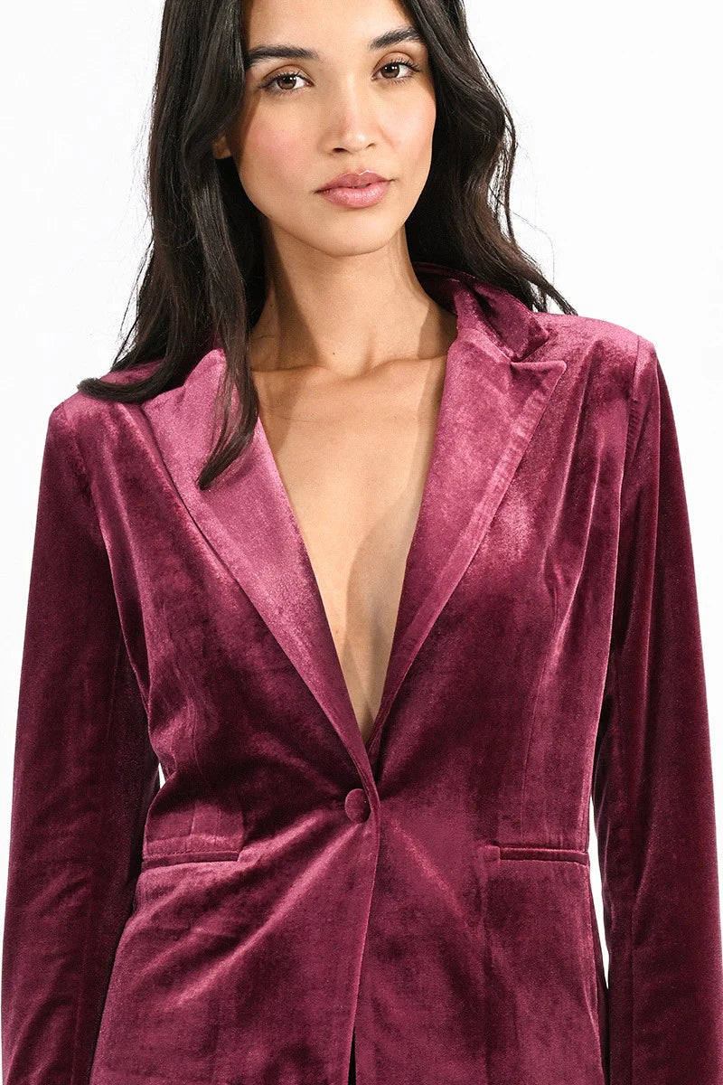 Velvet Blazer