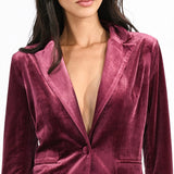 Velvet Blazer
