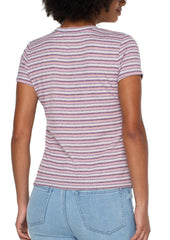 Slim Fit Crew Neck Knit Tee - Multi Color Stripe